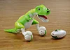 ＨＥＬＬＯ！ＤＩＮＯ（ハローダイノ）