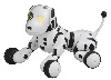 Ｚｏｏｍｅｒ（ハーティーダルメシアン）