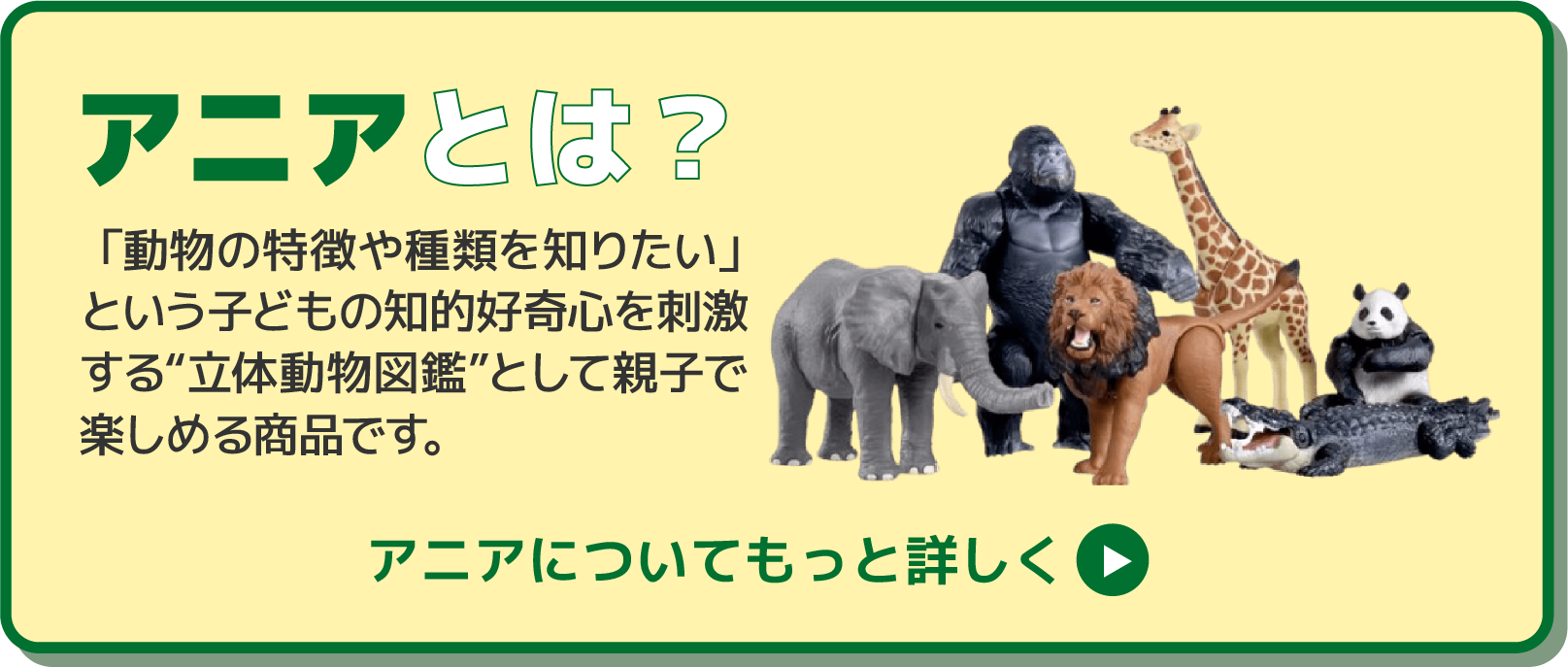 アニアとは