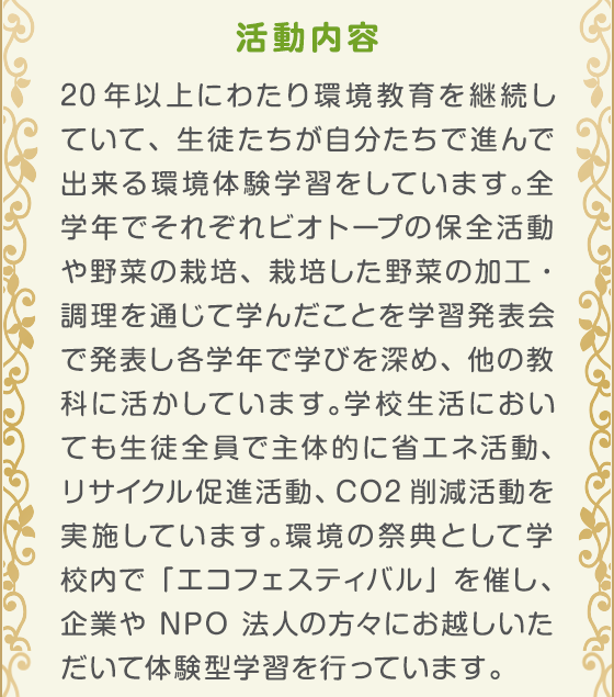 活動内容