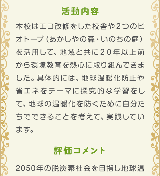 活動内容