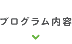 プログラム内容