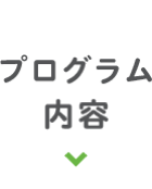 プログラム内容