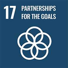 17 PARTNERSHIPS FOR THE GLOALS