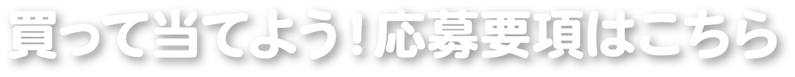 買って当てよう！応募要項はこちら