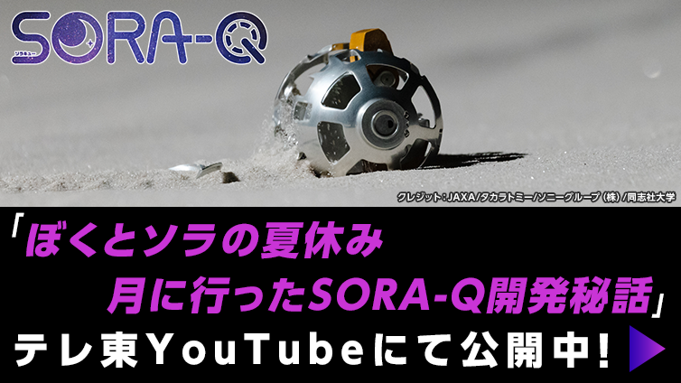 SORA-Q
