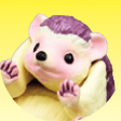 ハート(ヨツユビハリネズミ)