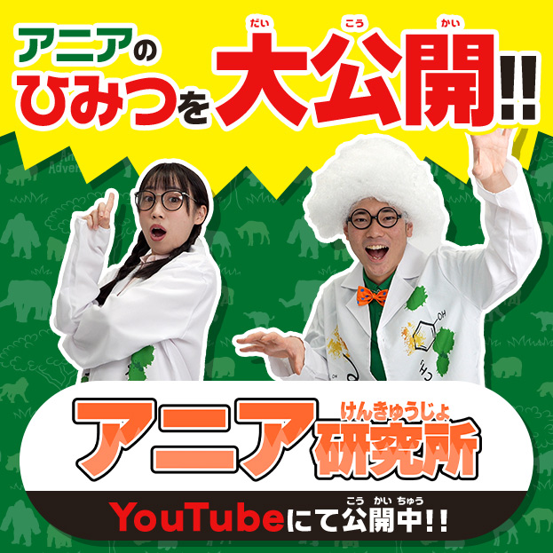 アニアのひみつを大公開！！アニア研究所 YouTubeにて公開中！！