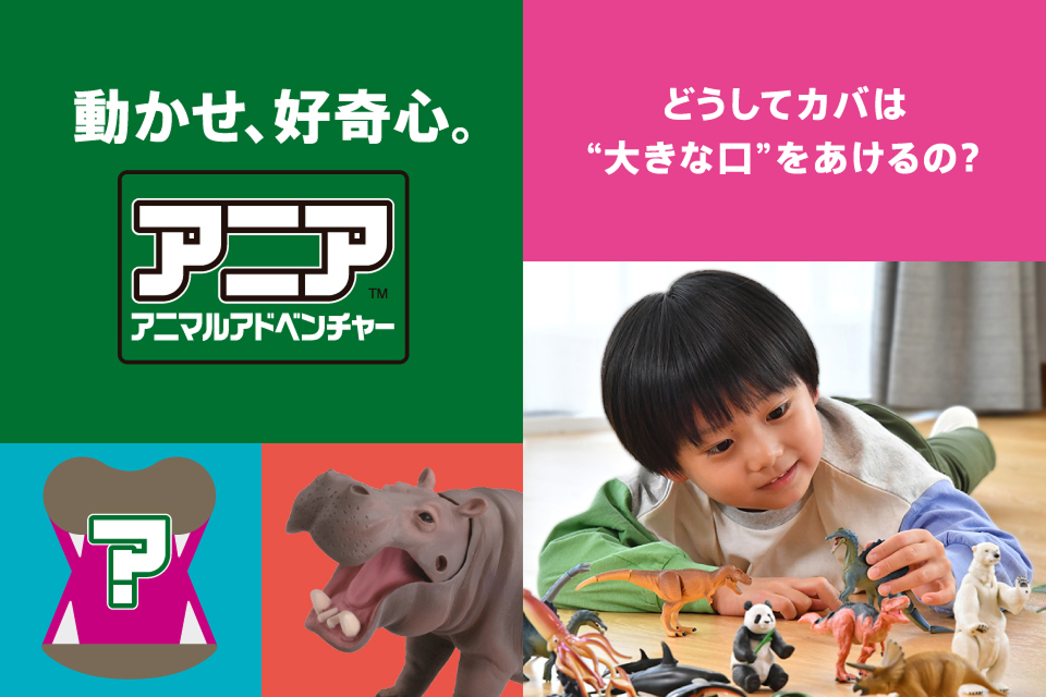 動かせ、好奇心。　アニア アニマルアドベンチャー　どうしてカバは“大きな口”をあけるの？