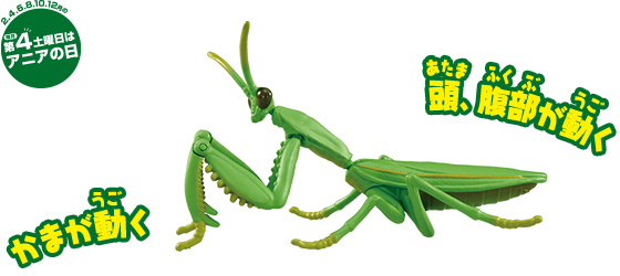 アニア　AL-32　オオカマキリ