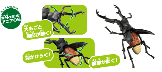 AL-38　ギラファノコギリクワガタ