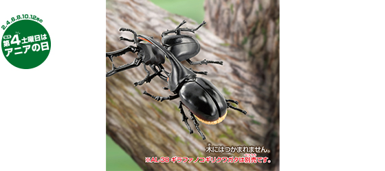 AL-39　ネプチューンオオカブト