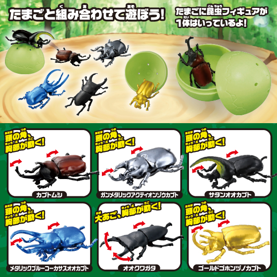 アニアのたまご　昆虫コレクション