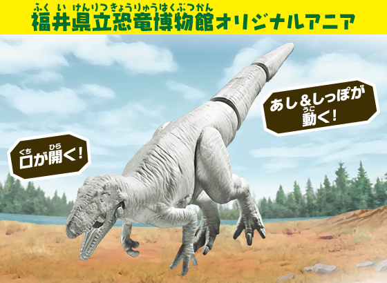福井県立恐竜博物館オリジナルアニア　アニア　ホワイトアニア　フクイラプトル