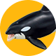 アニア 水生生物