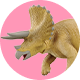 クイズ