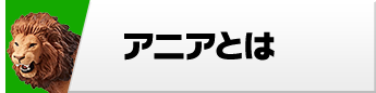 アニアとは