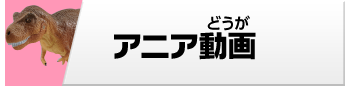アニア動画