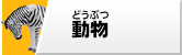 動物フィギュア