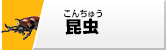 昆虫フィギュア