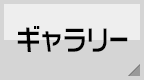 ギャラリー
