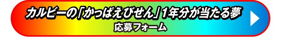 カルビーのかっぱえびせん1年分が当たる夢 応募フォーム