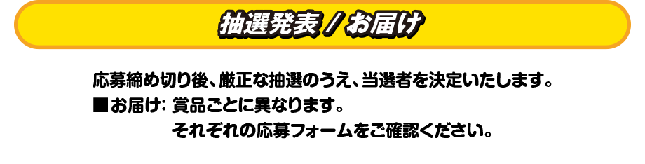 抽選発表 / お届け　応募締め切り後、厳正な抽選のうえ、当選者を決定いたします。■お届け： 賞品ごとに異なります。それぞれの応募フォームをご確認ください。