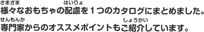 様々なおもちゃの配慮を１つのカタログにまとめました。専門家からのオススメポイントもご紹介しています。