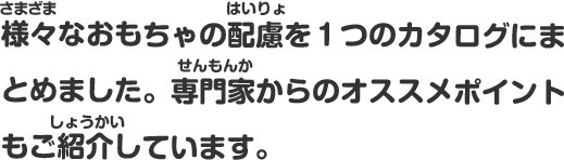 様々なおもちゃの配慮を１つのカタログにまとめました。専門家からのオススメポイントもご紹介しています。