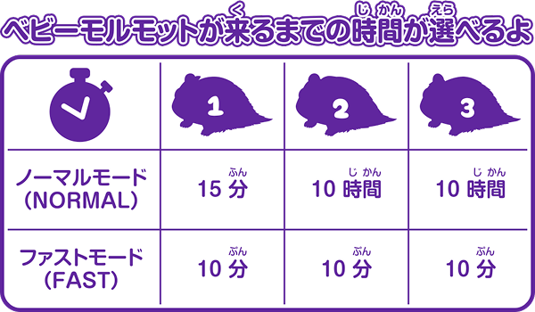 ベビーモルモットが来るまでの時間が選べるよ