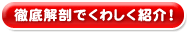 徹底解剖でくわしく紹介！