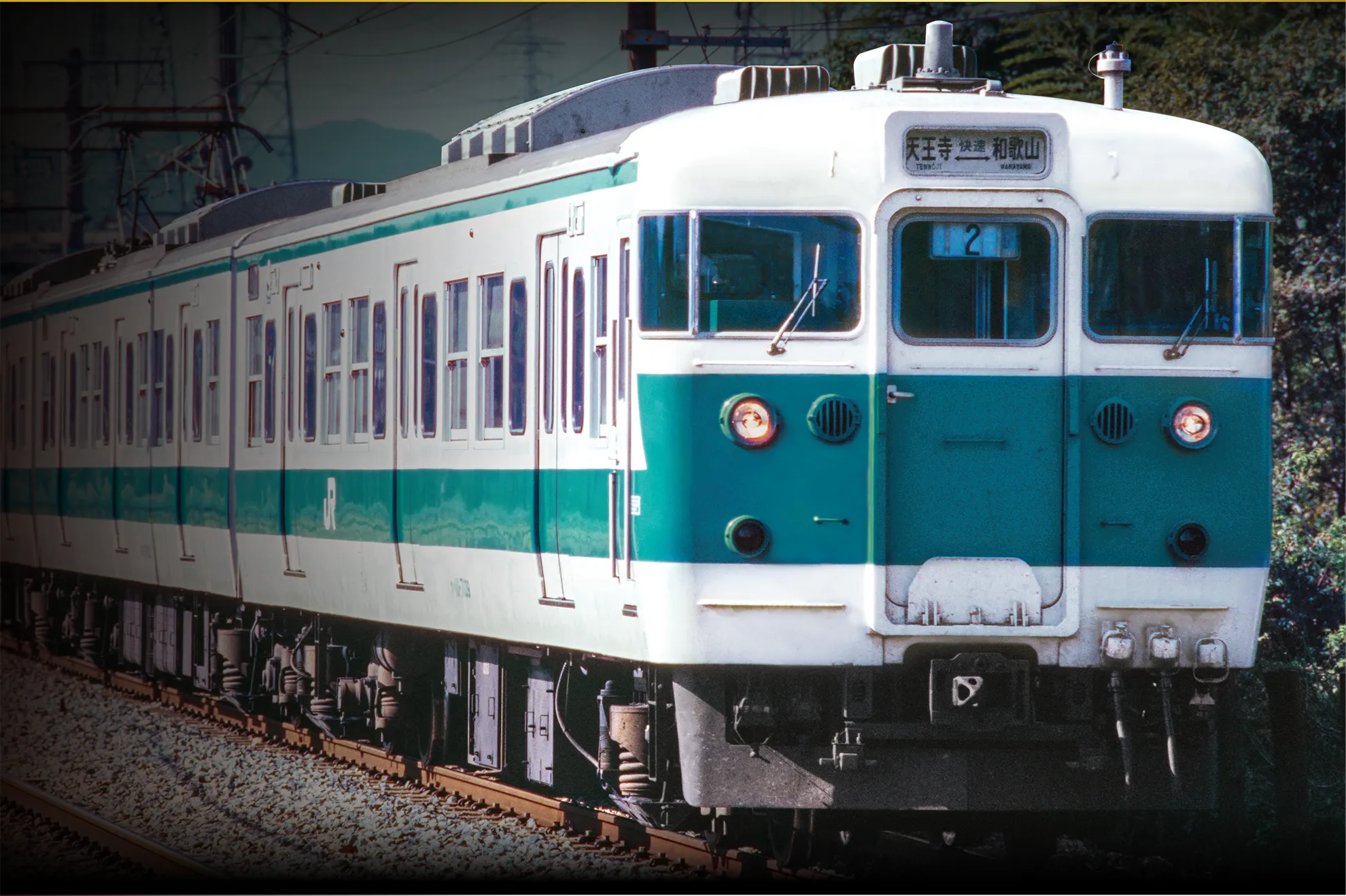 PLARAIL REAL CLASS｜113系近郊電車（阪和色）