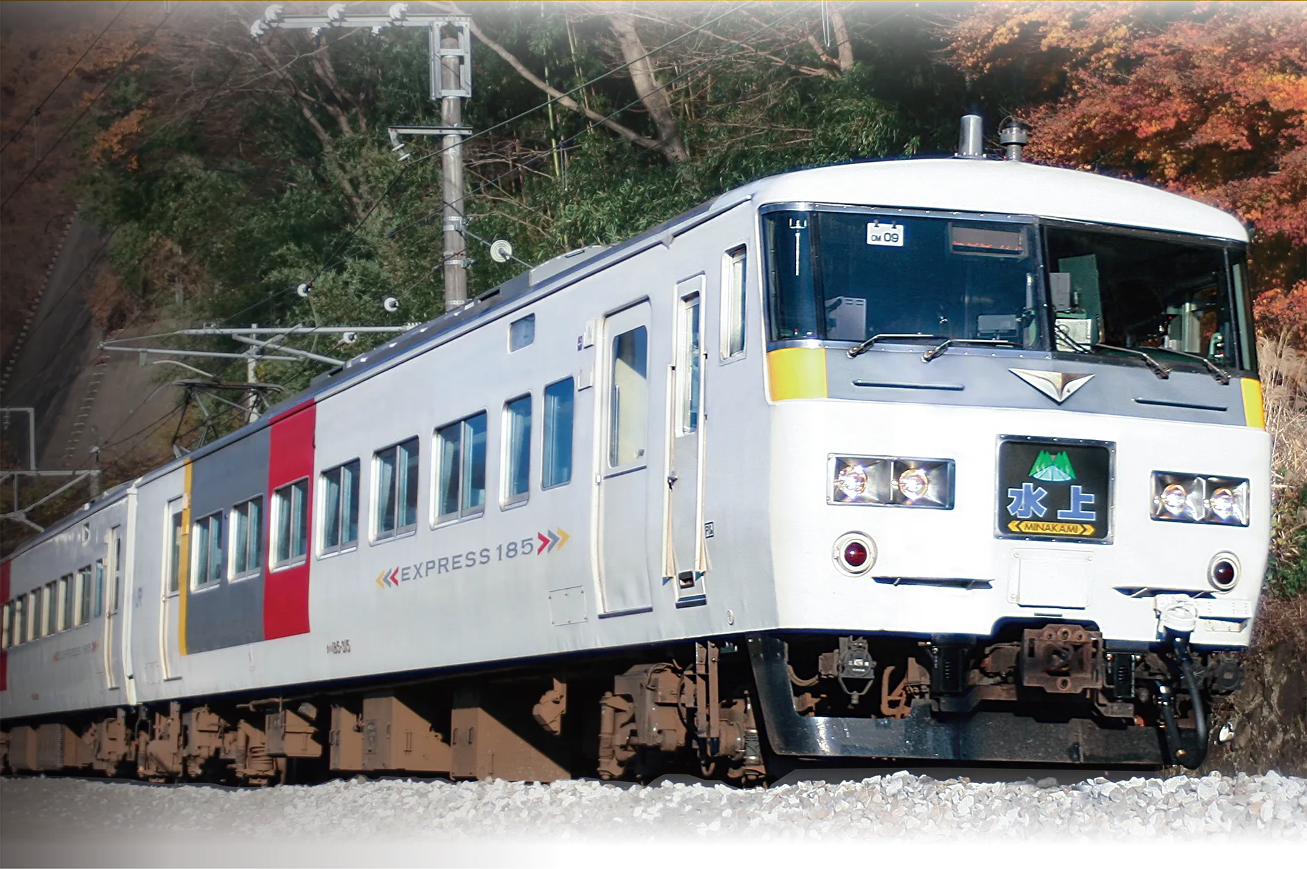 PLARAIL REAL CLASS｜185系特急電車（エクスプレス185）