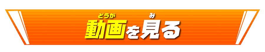 動画を見る