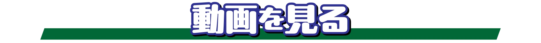 動画を見る