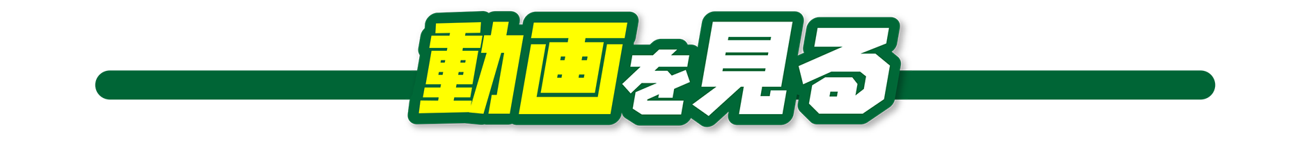 動画を見る