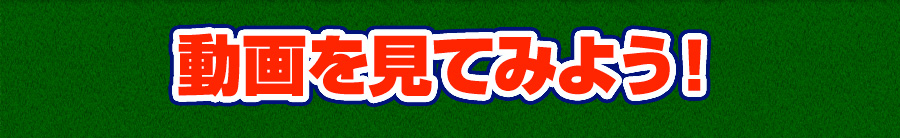 動画を見てみよう！