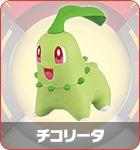 チコリータ