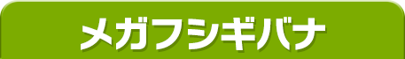 メガフシギバナ