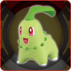 チコリータ