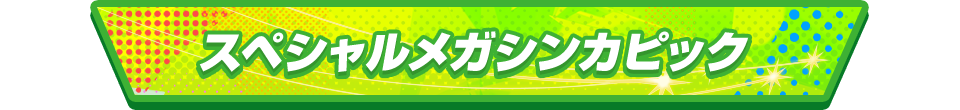 スペシャルメガシンカピック