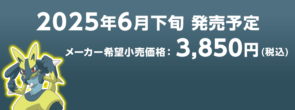 2025年6月下旬 発売予定 メーカー希望小売価格　3,850円（税込）