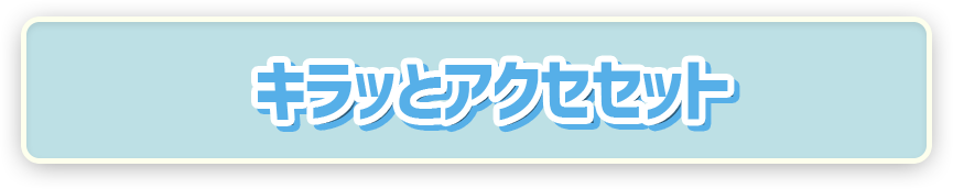 ポケモン ポケピース キラッとアクセセット