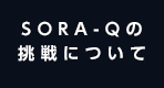 SORA-Qの挑戦について