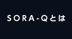 SORA-Qとは