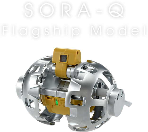 SORA-Q Flagship Model