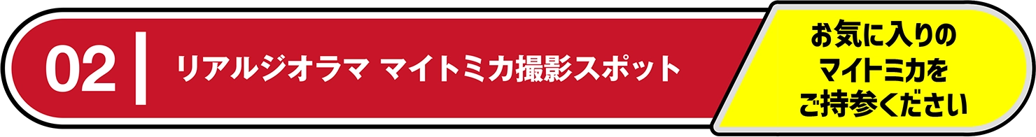02｜リアルジオラマ マイトミカ撮影スポット｜お気に入りのマイトミカをご持参ください