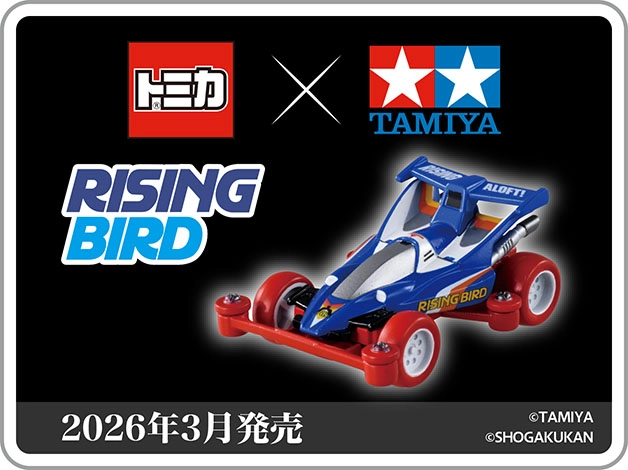トミカプレミアムｕｎｌｉｍｉｔｅｄ ミニ四駆 ライジング・バード｜2026年3月発売｜©TAMIYA ©SHOGAKUKAN