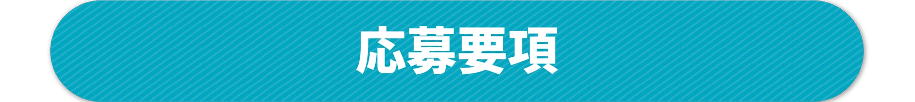 応募要項