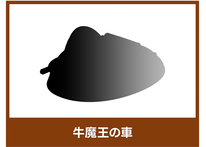 牛魔王の車